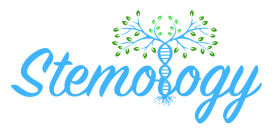 Stemology-logo